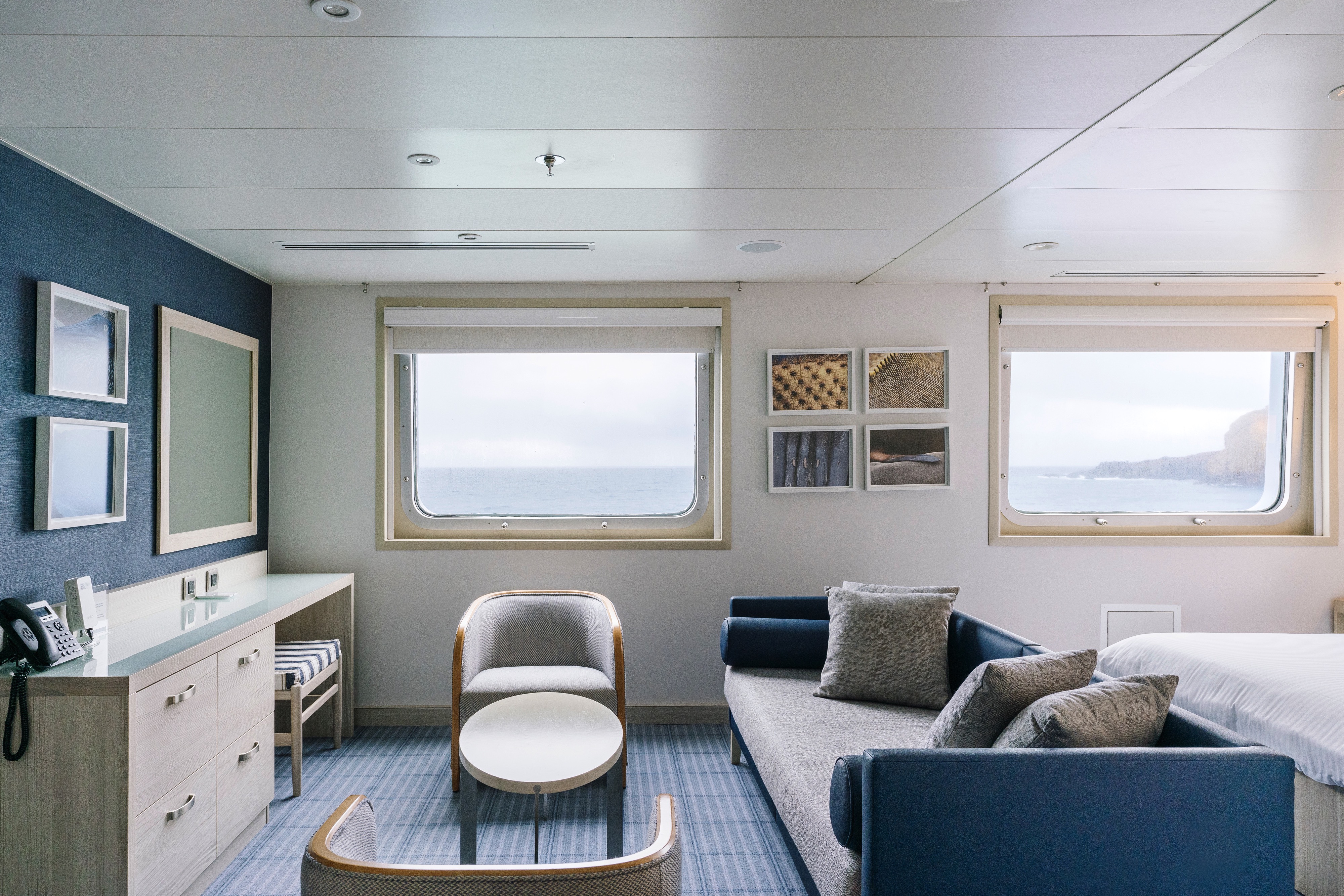DS | Darwin Suite